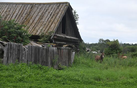Регионы России. Камчатский край