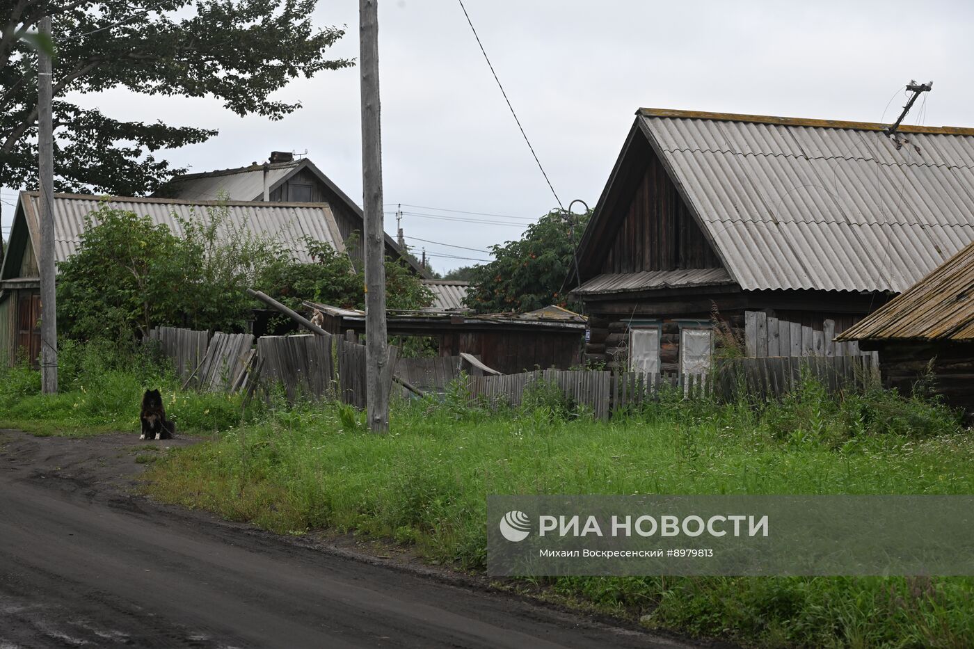 Регионы России. Камчатский край
