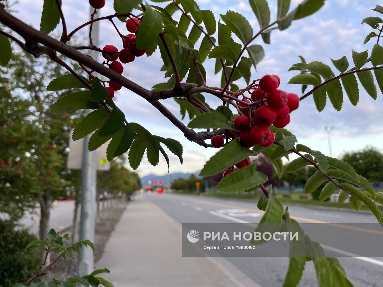 Виды Аляски