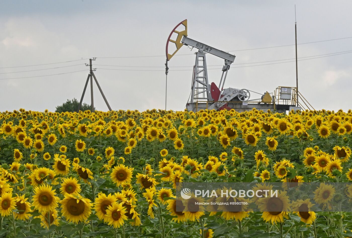 Добыча нефти в Татарстане
