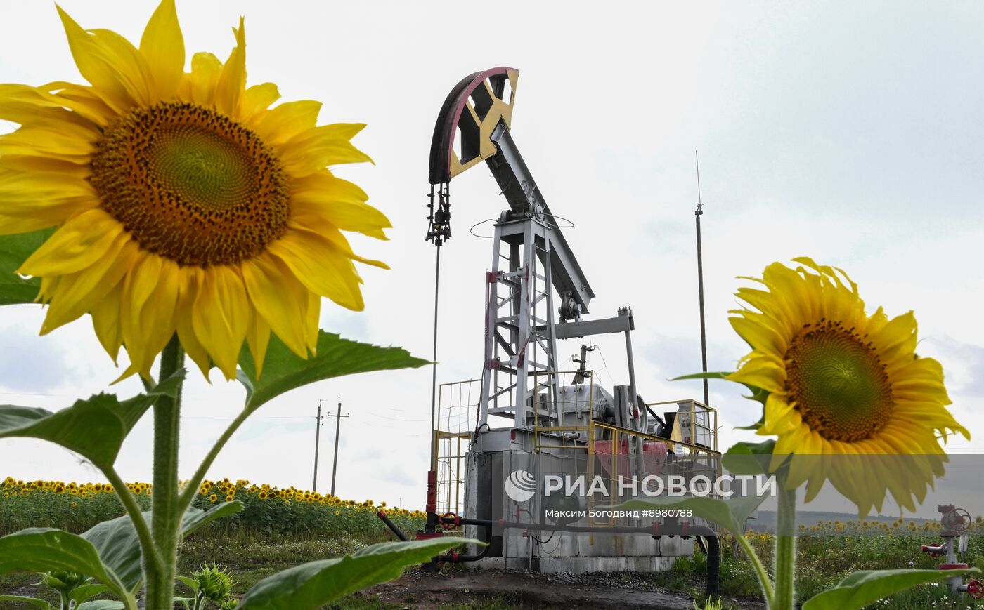 Добыча нефти в Татарстане