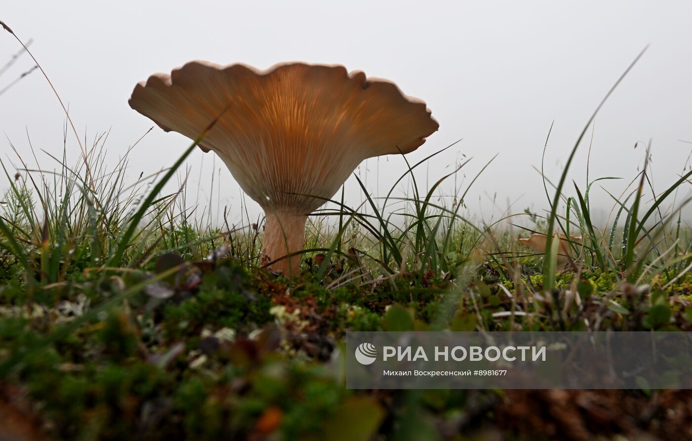 Регионы России. Камчатский край