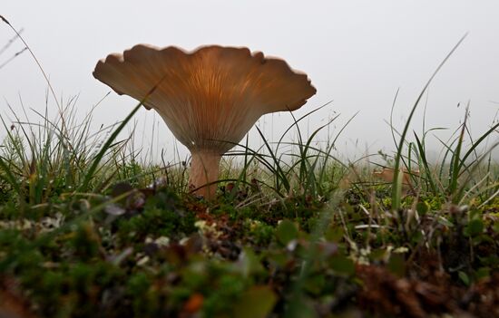 Регионы России. Камчатский край