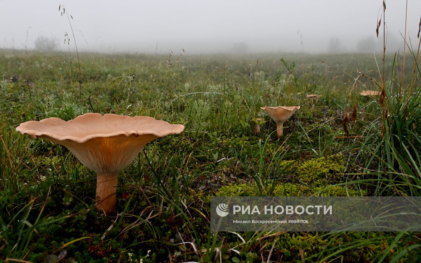 Регионы России. Камчатский край