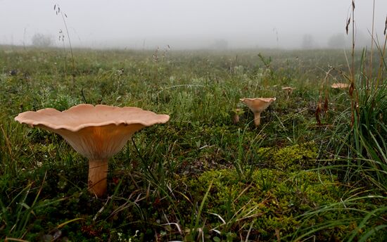 Регионы России. Камчатский край