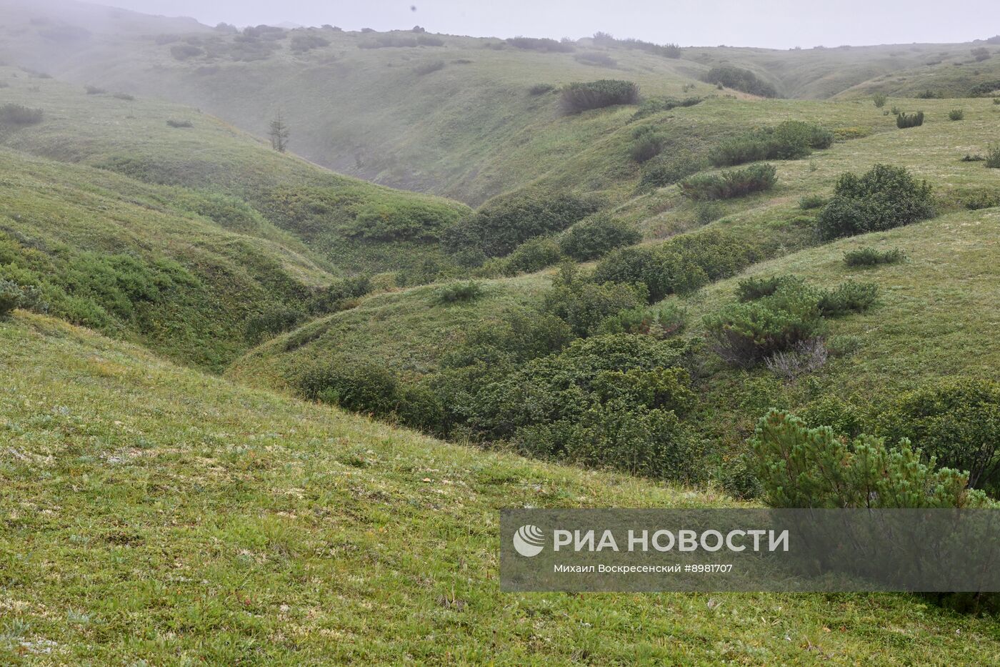 Регионы России. Камчатский край