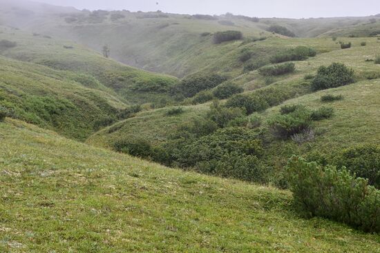 Регионы России. Камчатский край