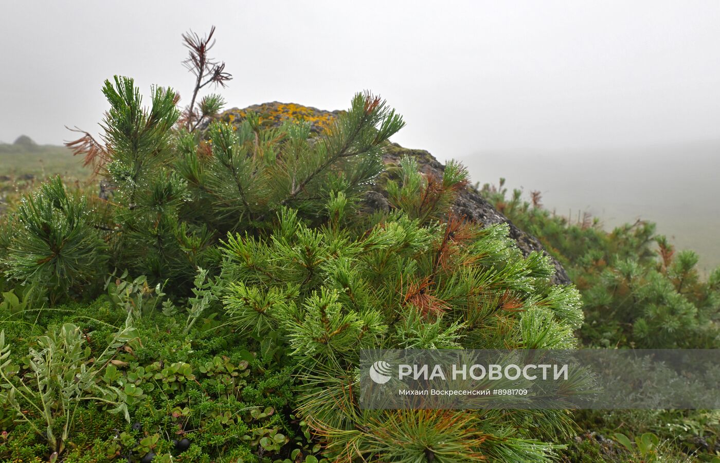 Регионы России. Камчатский край