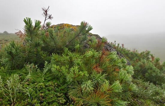 Регионы России. Камчатский край