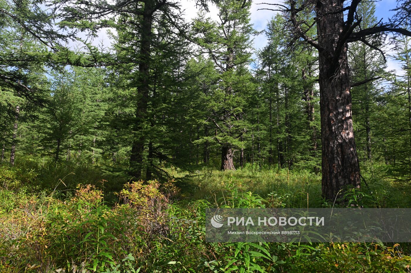 Регионы России. Камчатский край