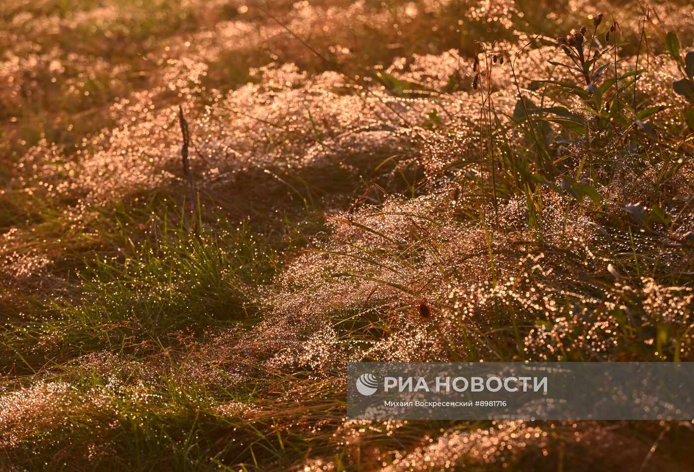 Регионы России. Камчатский край