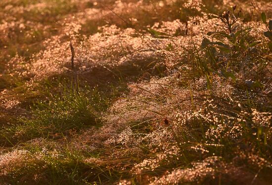 Регионы России. Камчатский край