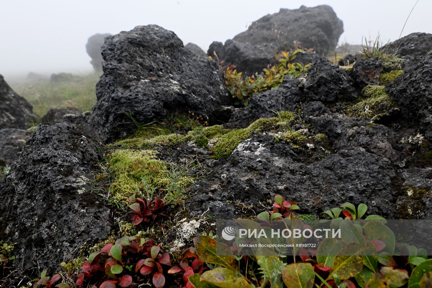 Регионы России. Камчатский край
