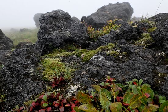 Регионы России. Камчатский край