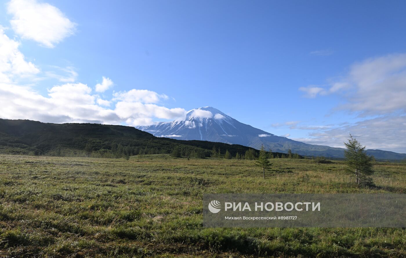 Регионы России. Камчатский край