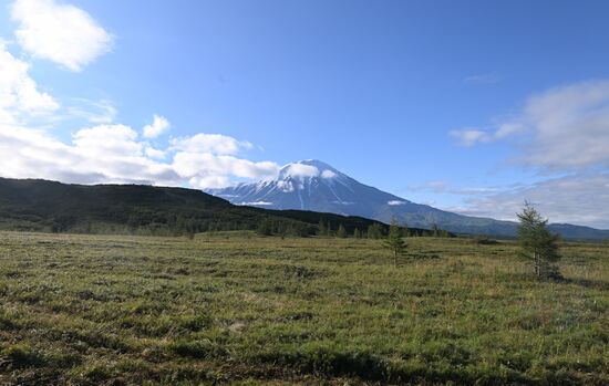 Регионы России. Камчатский край