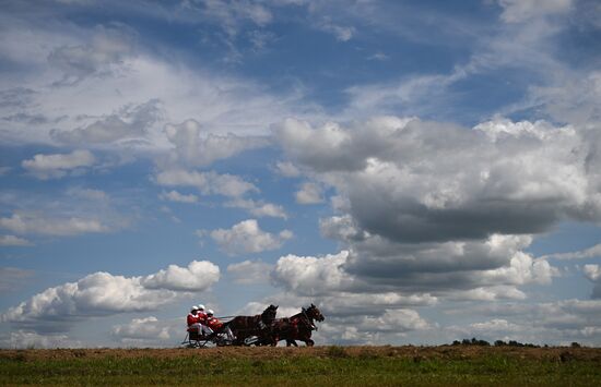 Конный фестиваль #ORLOVFEST