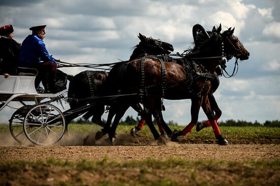 Конный фестиваль #ORLOVFEST