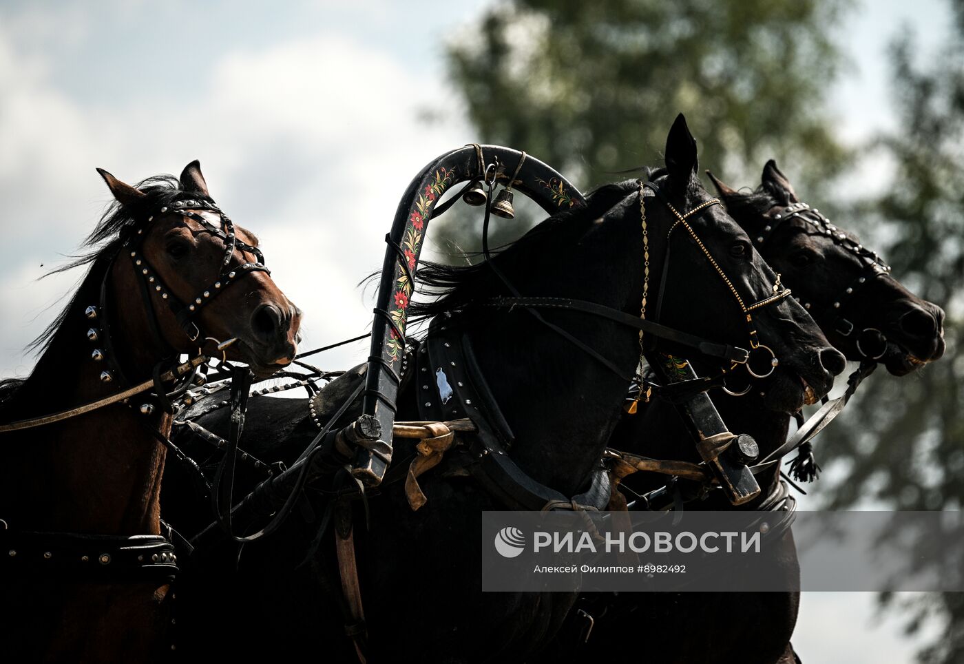 Конный фестиваль #ORLOVFEST