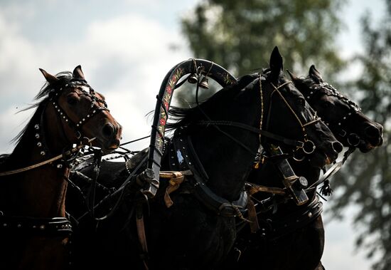 Конный фестиваль #ORLOVFEST