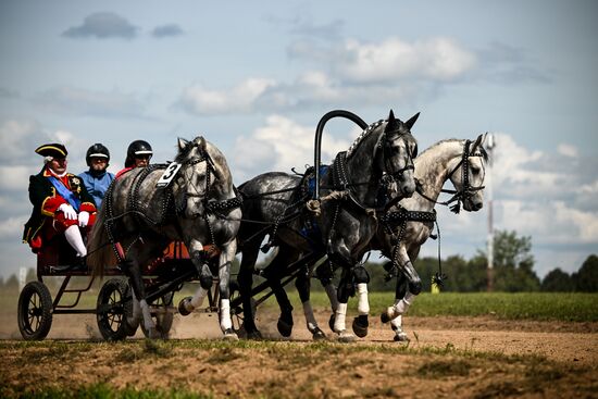 Конный фестиваль #ORLOVFEST