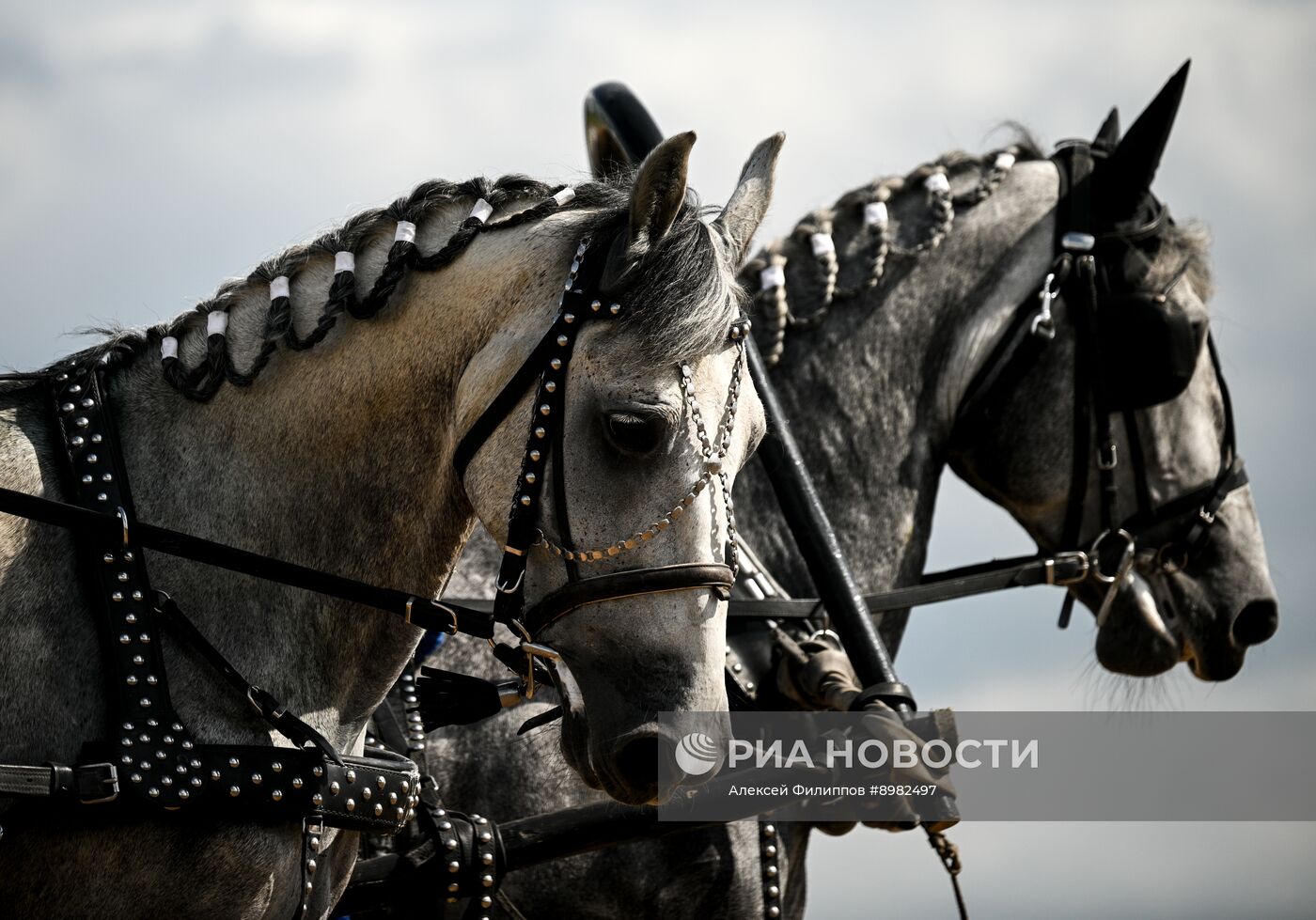 Конный фестиваль #ORLOVFEST