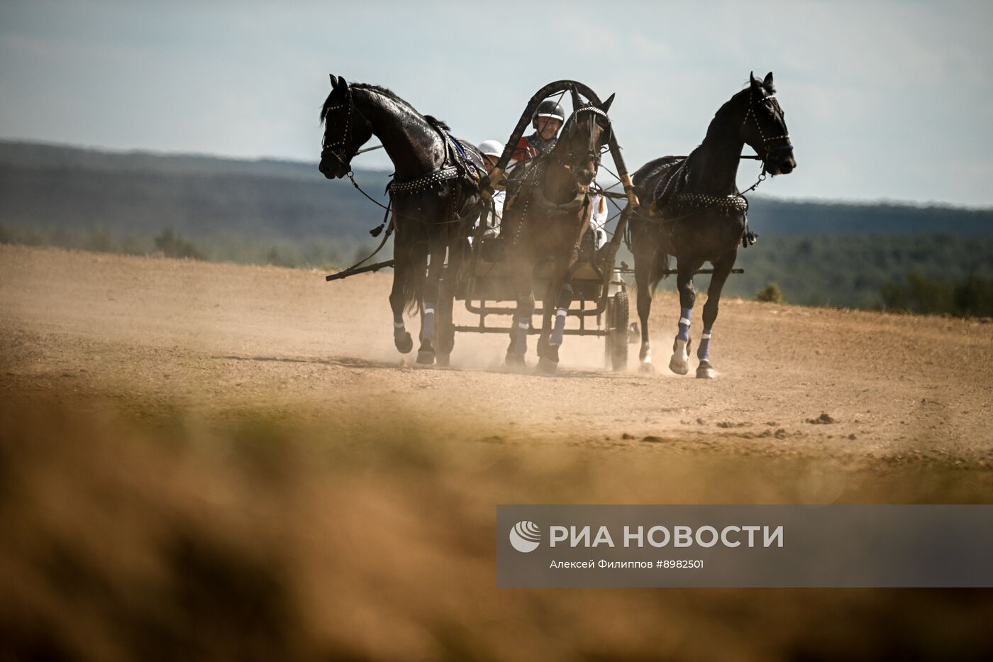 Конный фестиваль #ORLOVFEST