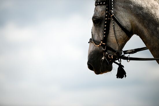 Конный фестиваль #ORLOVFEST