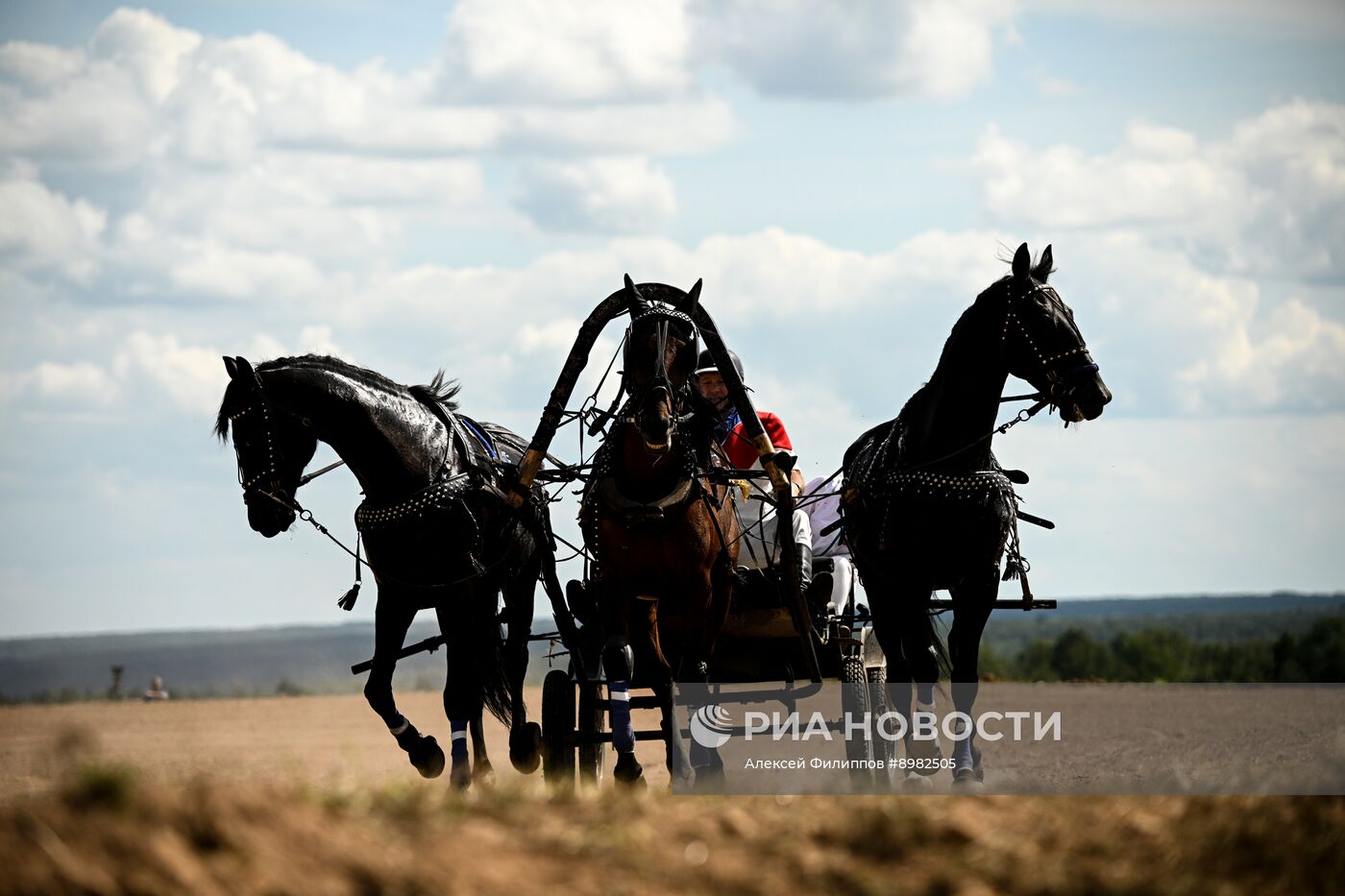 Конный фестиваль #ORLOVFEST