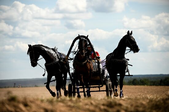 Конный фестиваль #ORLOVFEST