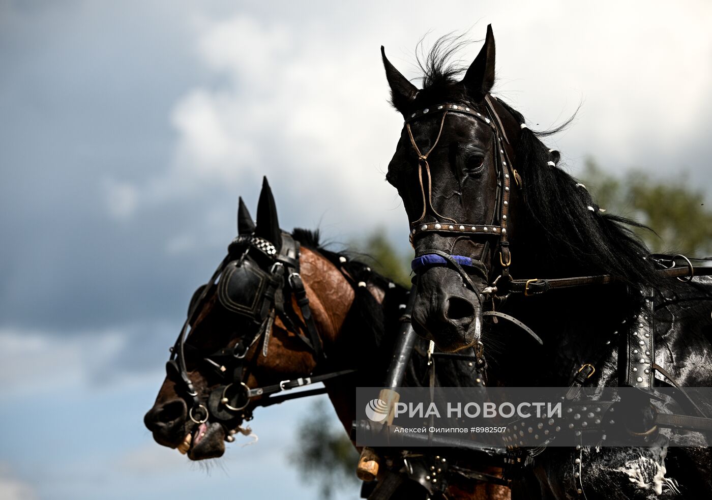 Конный фестиваль #ORLOVFEST