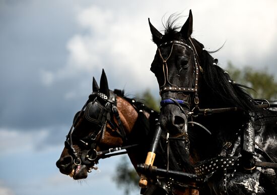 Конный фестиваль #ORLOVFEST