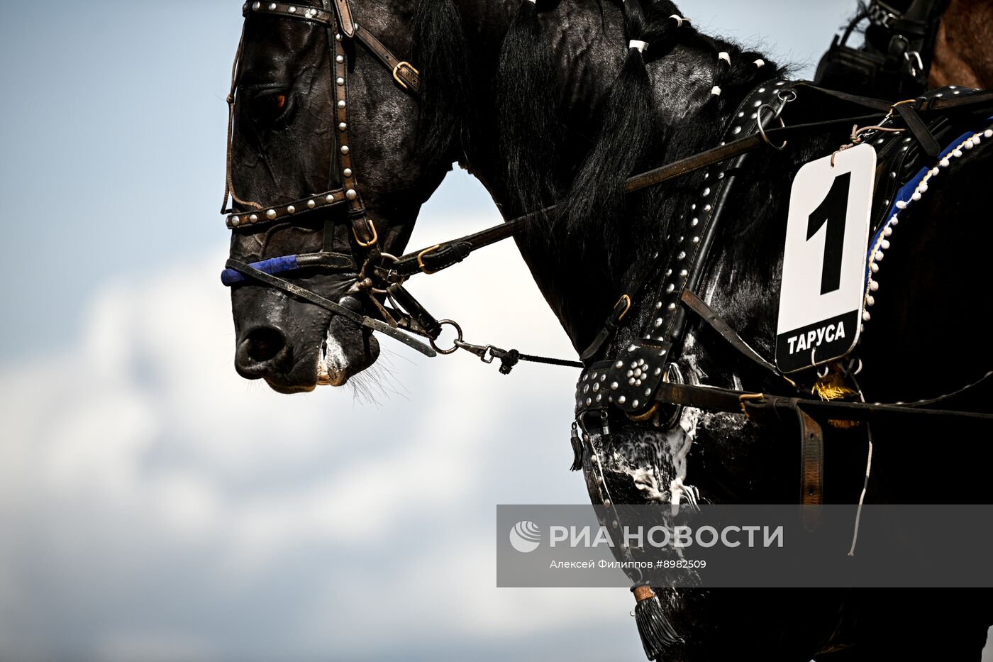 Конный фестиваль #ORLOVFEST