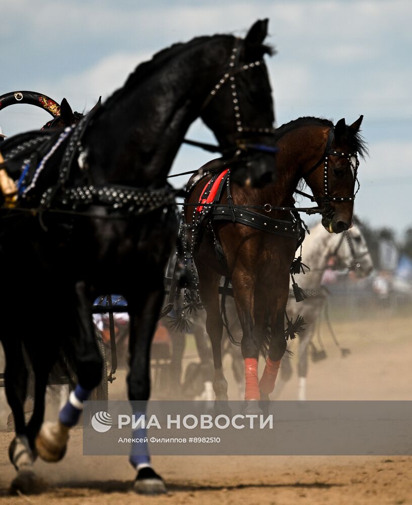 Конный фестиваль #ORLOVFEST