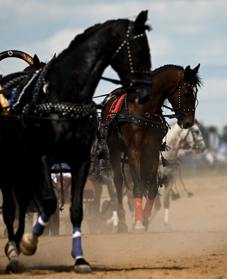 Конный фестиваль #ORLOVFEST