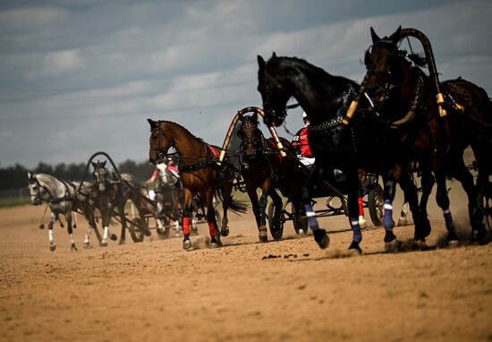 Конный фестиваль #ORLOVFEST