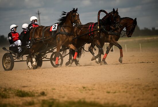 Конный фестиваль #ORLOVFEST