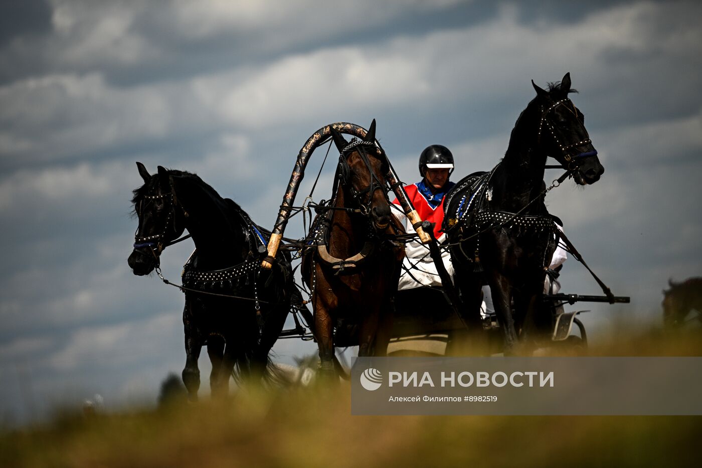 Конный фестиваль #ORLOVFEST