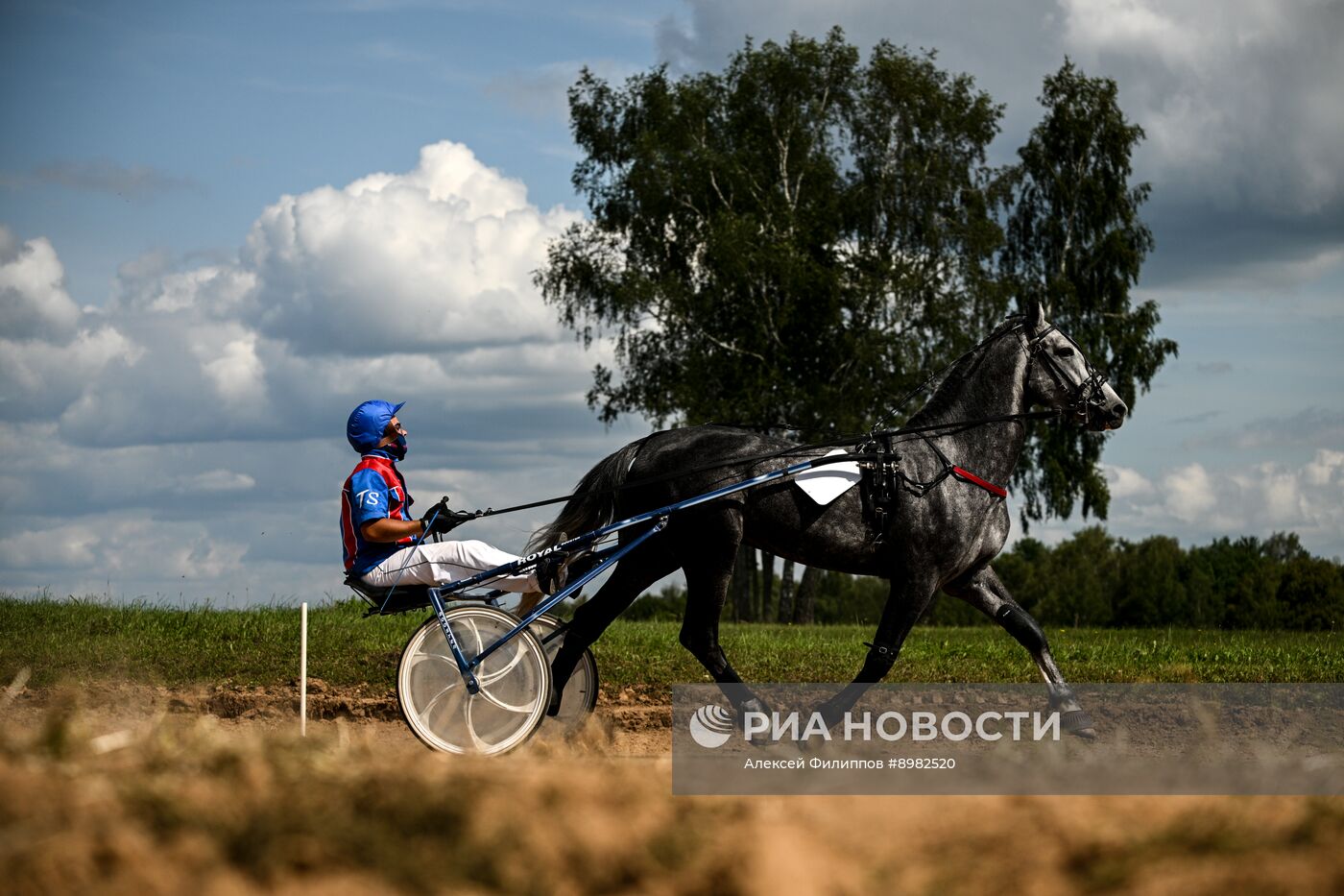 Конный фестиваль #ORLOVFEST