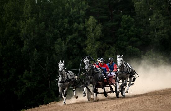 Конный фестиваль #ORLOVFEST