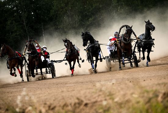 Конный фестиваль #ORLOVFEST
