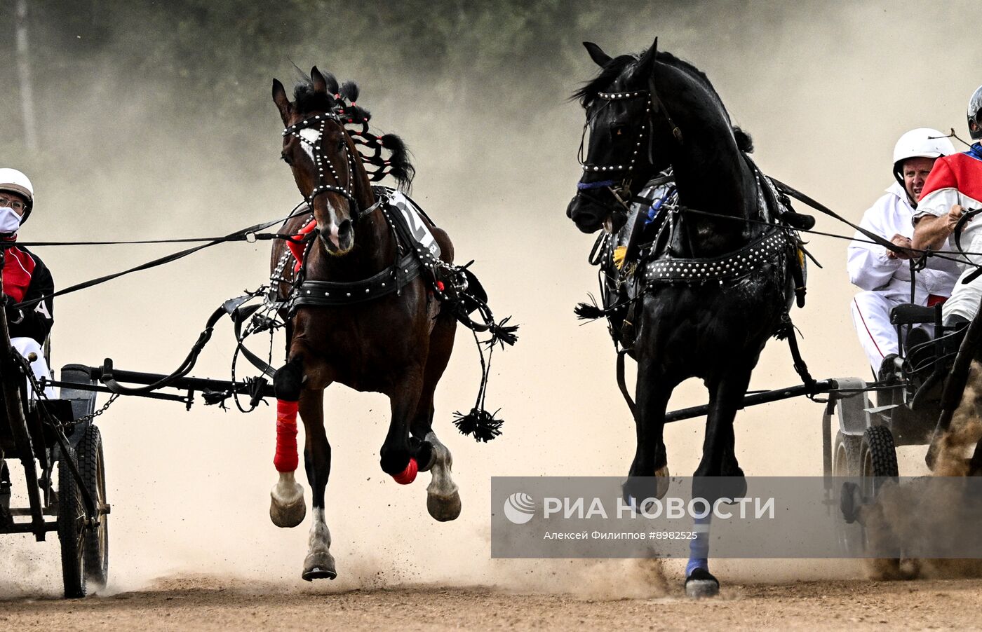 Конный фестиваль #ORLOVFEST