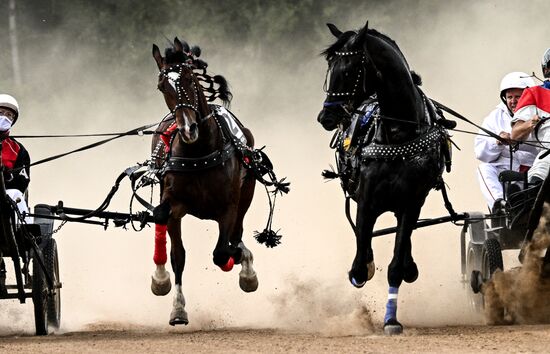 Конный фестиваль #ORLOVFEST