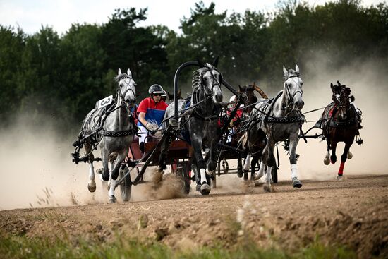 Конный фестиваль #ORLOVFEST