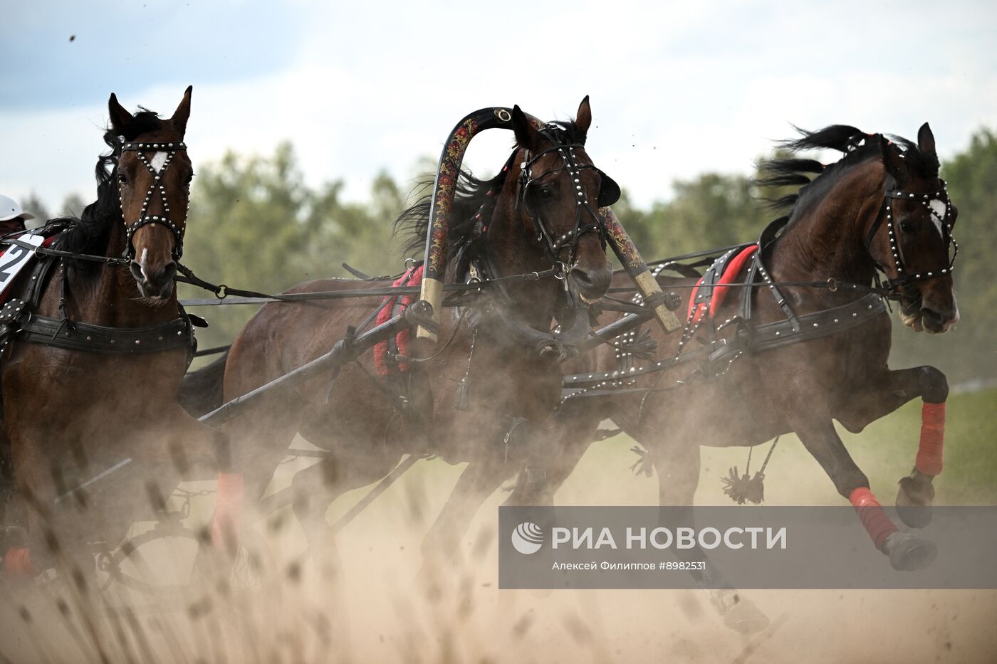 Конный фестиваль #ORLOVFEST