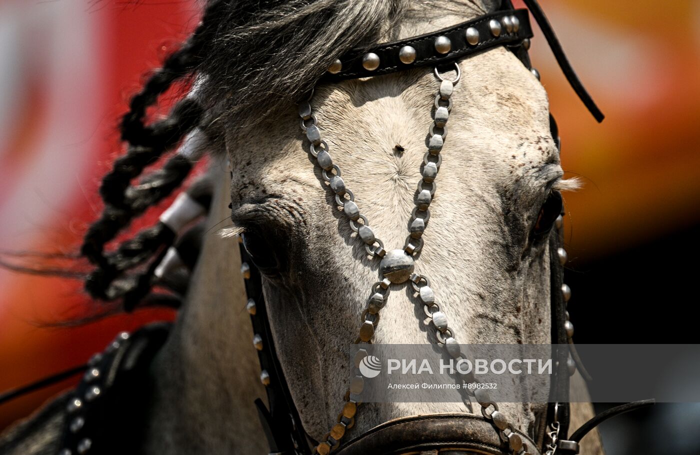 Конный фестиваль #ORLOVFEST