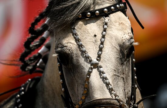 Конный фестиваль #ORLOVFEST