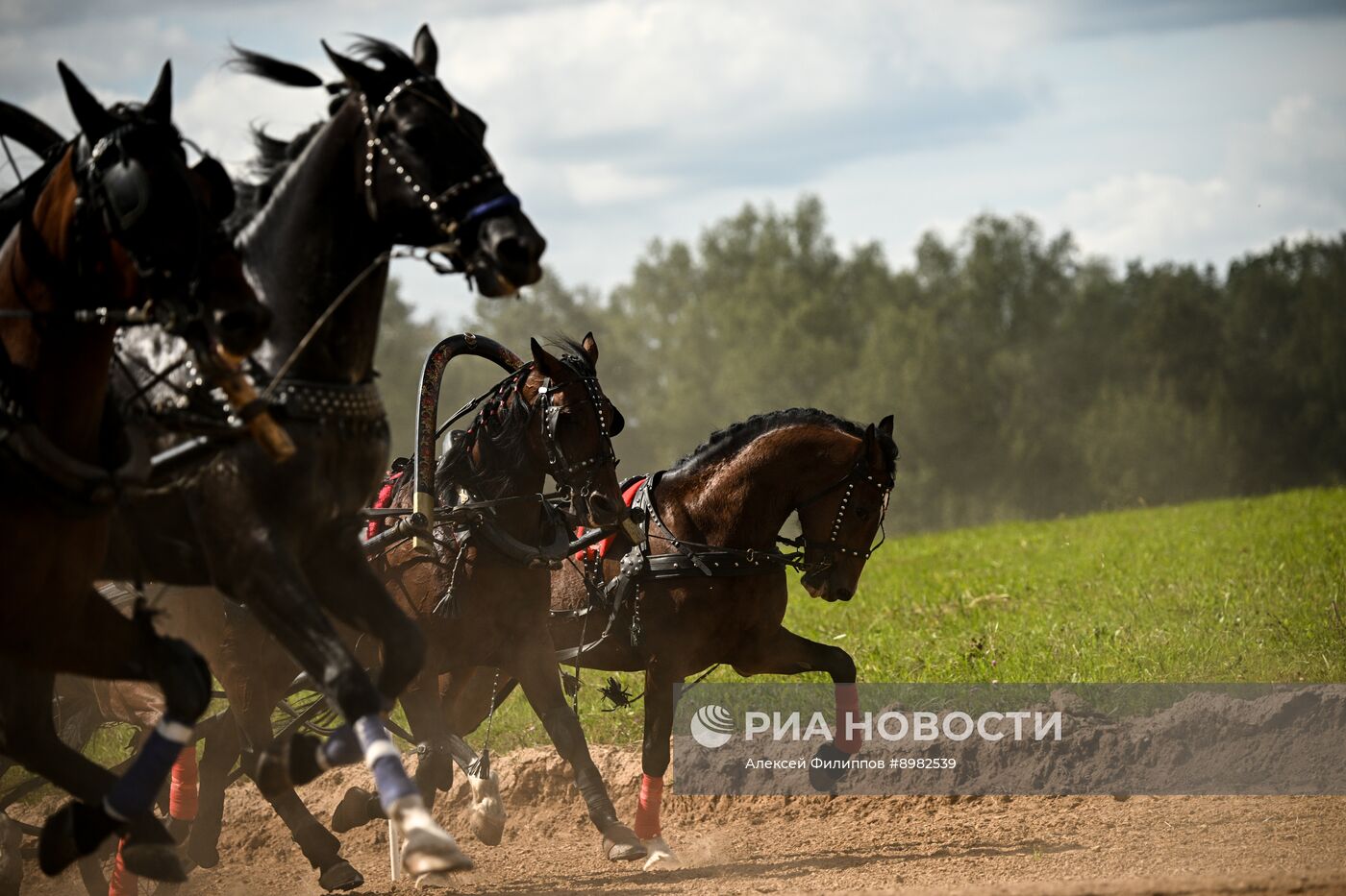 Конный фестиваль #ORLOVFEST
