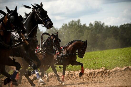 Конный фестиваль #ORLOVFEST