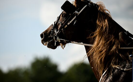 Конный фестиваль #ORLOVFEST